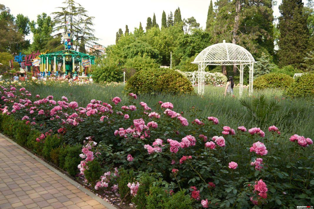 Парк «Ривьера» анонсировал развлекательную программу на эти выходные