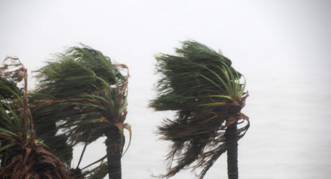 Синоптики бьют тревогу: в Сочи ожидается порывистый ветер