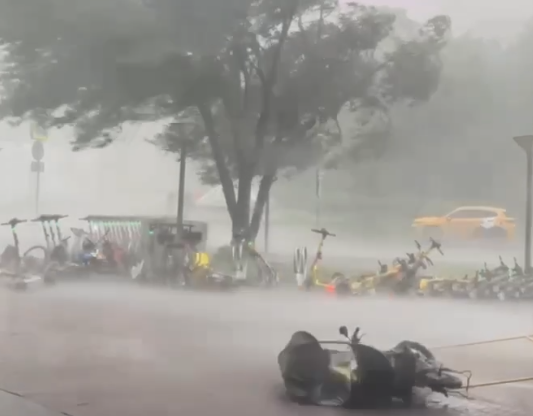 Больше десяти пострадавших: в Москве сообщают о жертвах прошедшего урагана