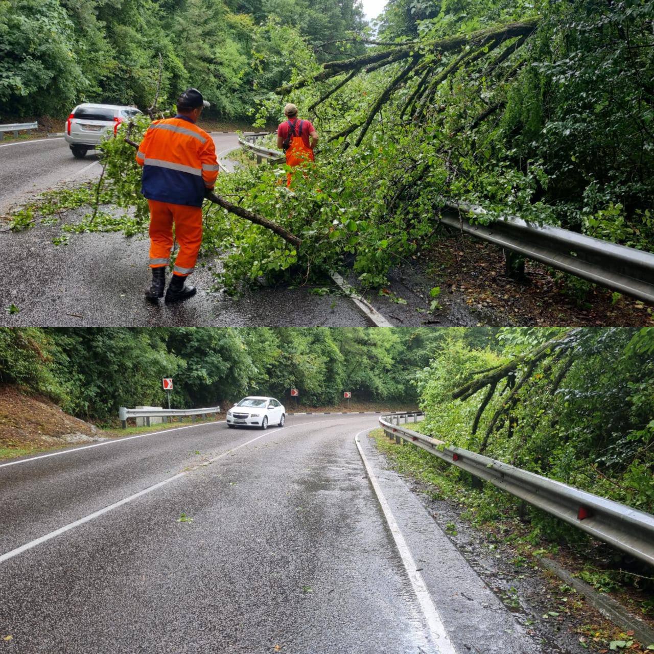 Внучка Стриженова заговорила о разводе через 2 дня после свадьбы