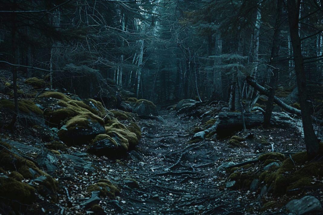 Спасатели ЮРПСО МЧС России нашли пропавшего 1 июля туриста в горах Сочи