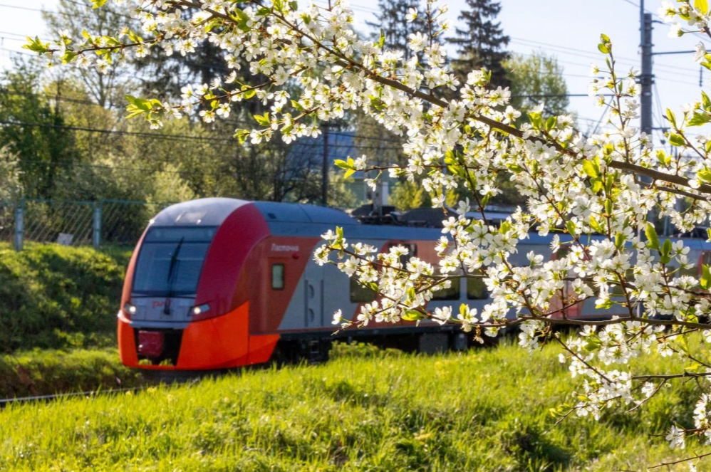 Поезда изменили расписание движения после схода состава Казань-Адлер: список РЖД