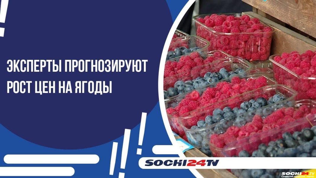 Почем ягоды в Сочи в июле: скажется ли на их цене жара
