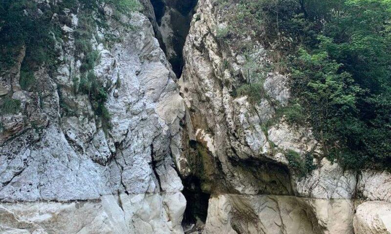 Очередной фотограф-живодер схвачен в Адлере: он эксплуатировал дикую сову