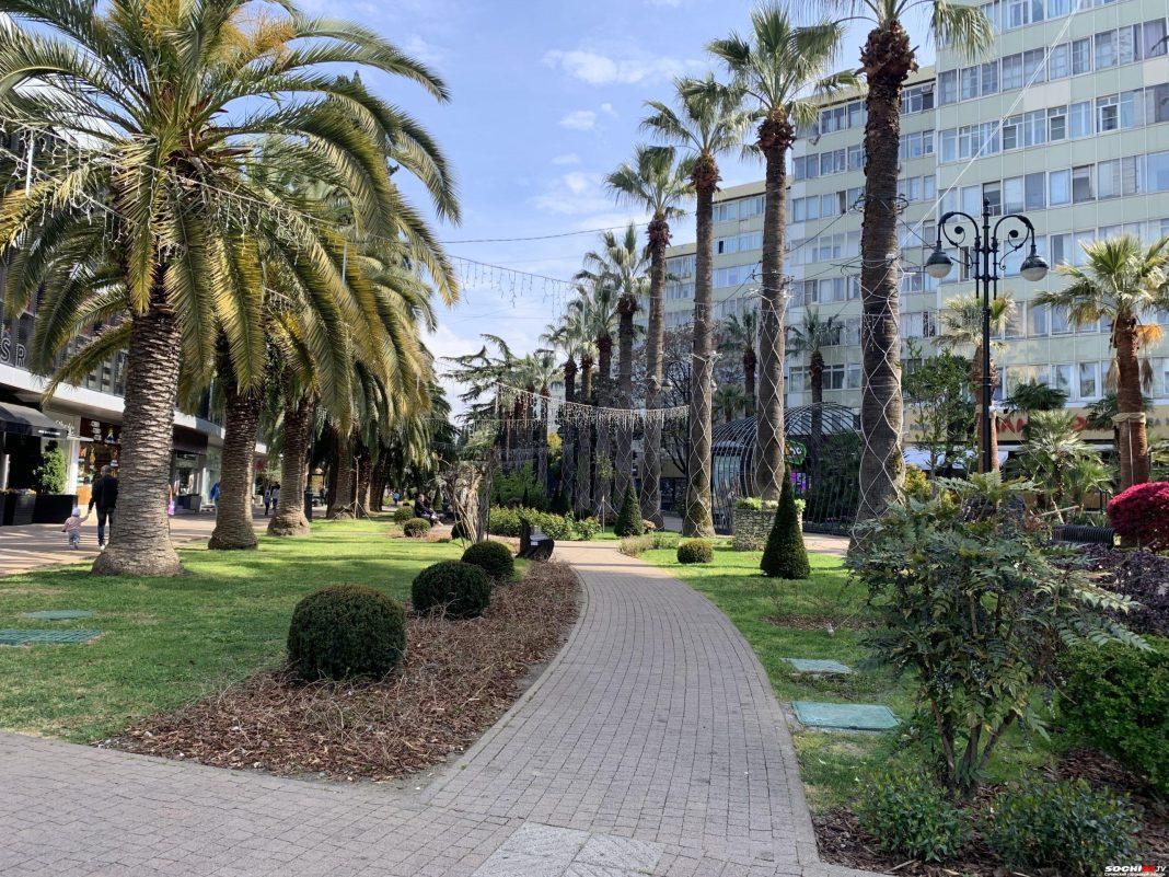 Сочи станет зеленее: площадь парковых зон курорта за 20 лет увеличится в 11 раз