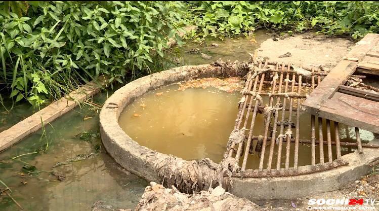 Улица Просвещения тонет в грязи и вони: почему канализационные стоки продолжают отравлять Сочи