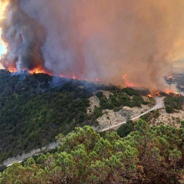 Сотни людей эвакуированы: в Краснодарском крае прошла волна лесных пожаров