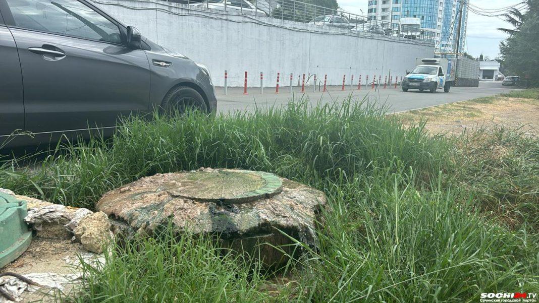 «И зимой, и летом»: жительница Адлера пожаловалась на проблемы с канализацией