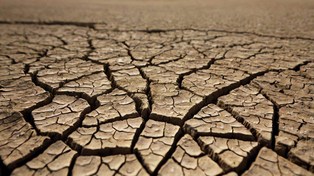 Аномальная жара в Сочи может привести к дефициту воды