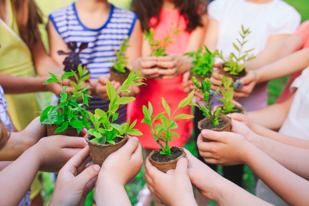 Субботник, квест и модный показ: 18 августа в Сочи состоится семейный экофестиваль