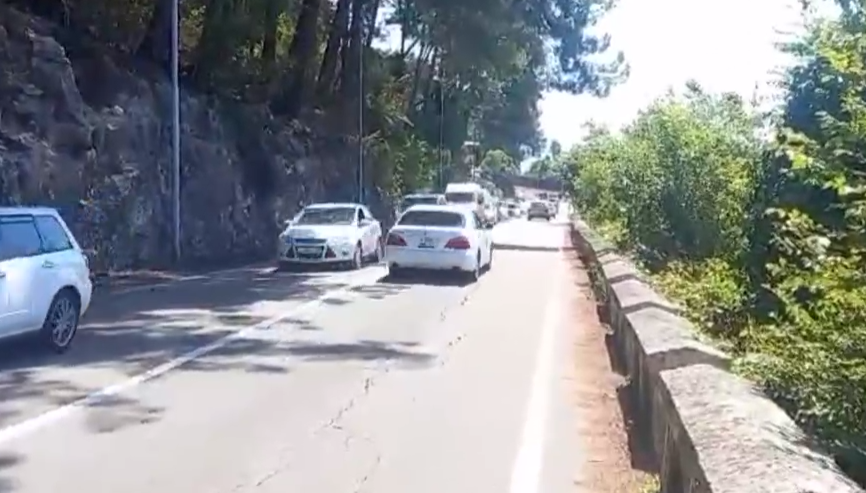 В Гагрском районе Абхазии расчистили трассу от упавших деревьв