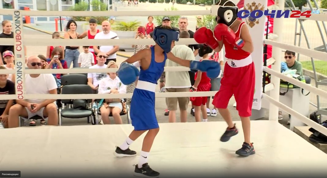 Юные боксеры покоряют ринг: как прошел фестиваль бокса в Сириусе