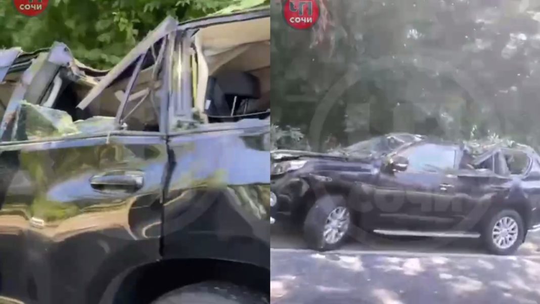 Трассу в Сочи расчистили после падения дерева на авто, машине предстоит ремонт