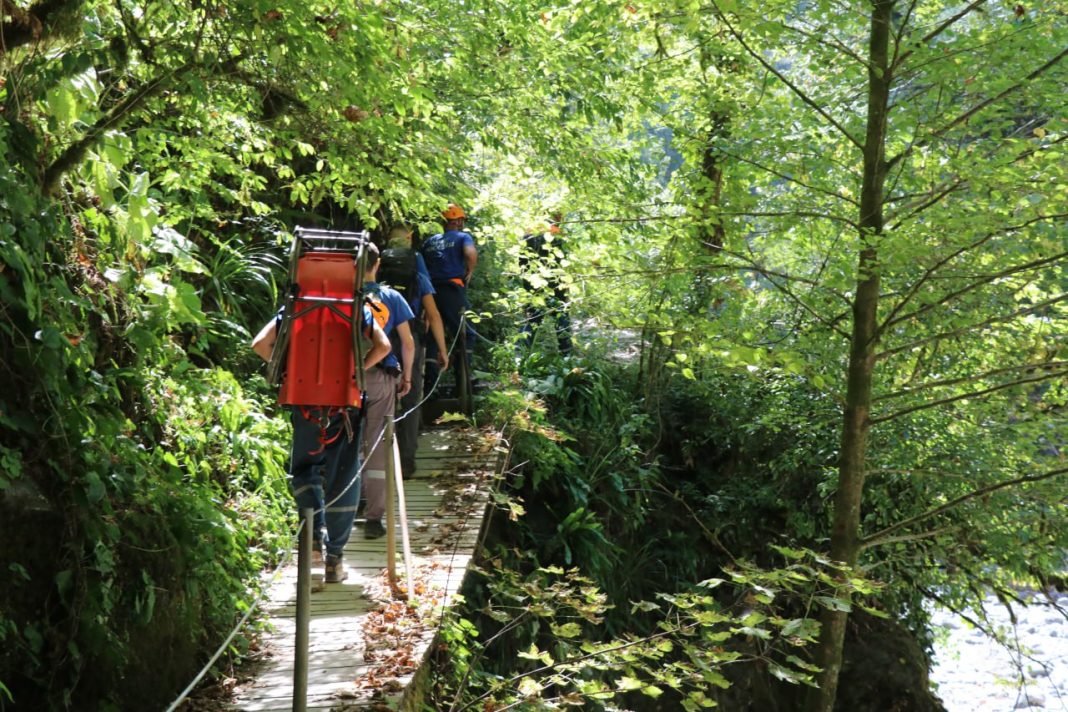 Серая футболка, серые брюки: в Сочи спасатели ищут пропавшего дедушку-грибника
