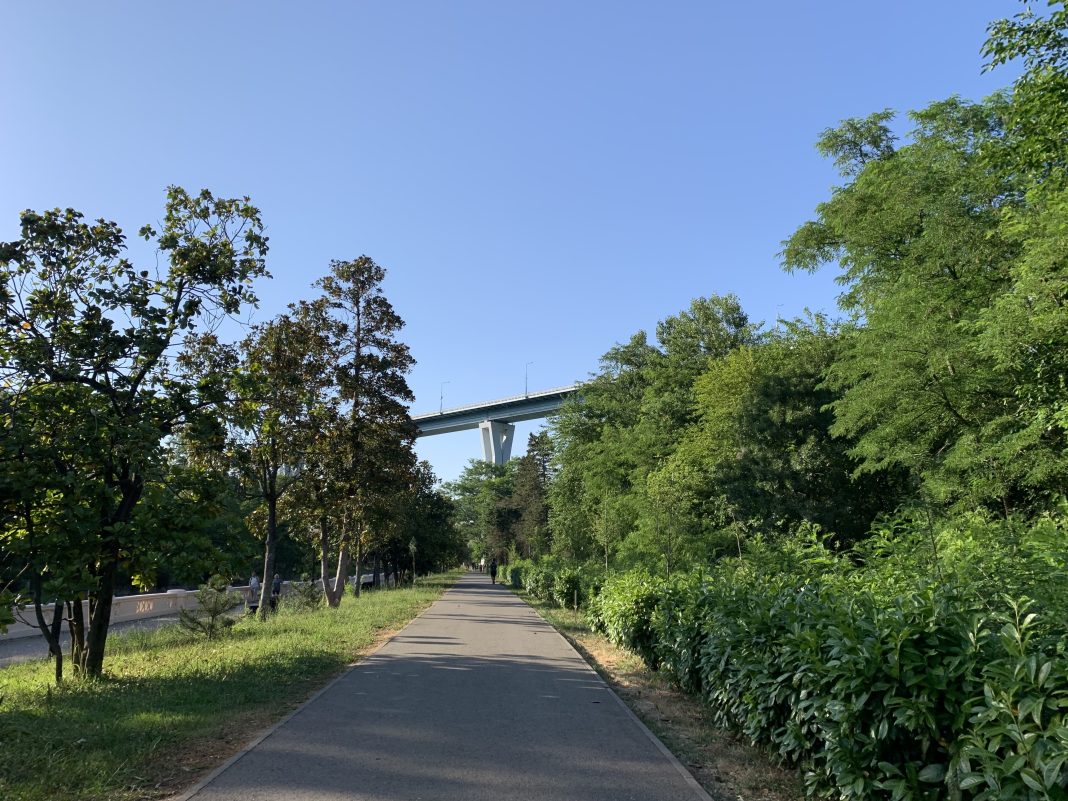 Мэр Сочи Прошунин рассказал о дальнейшей судьбе набережной Мацесты