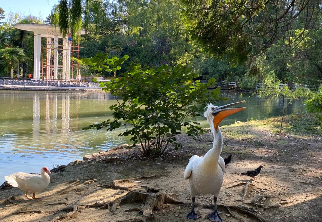 Увлекательный квест и памятные сувениры: парк «Дендрарий» приглашает школьников и их родителей встретить 1 сентября