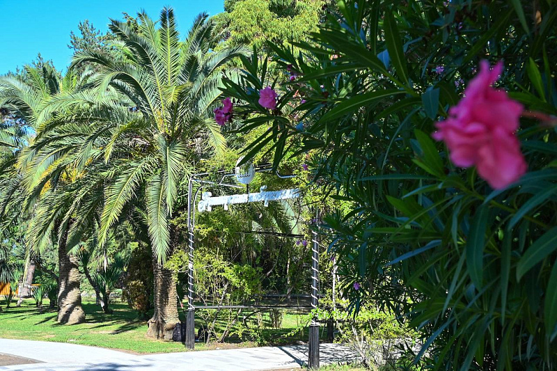 Благоустройство верхней Приморской набережной в Сочи подошло к концу