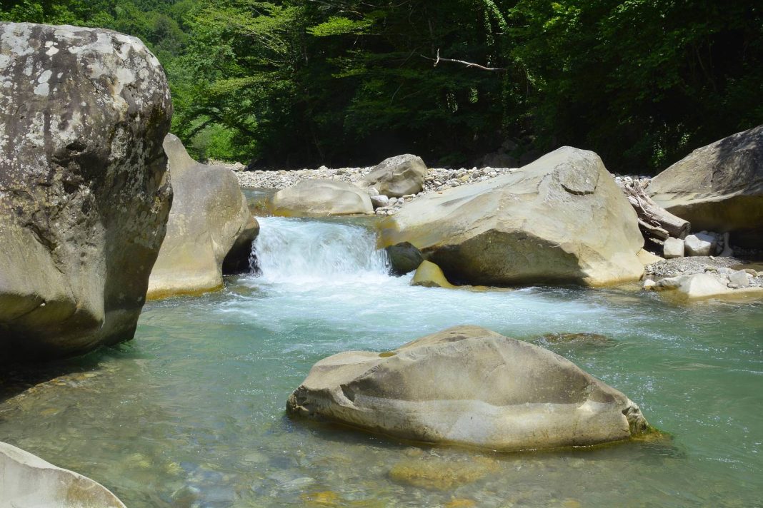 Всемирный день рек отмечают в последнее воскресенье сентября: об отличительных чертах наших рек рассказали в Сочинском нацпарке