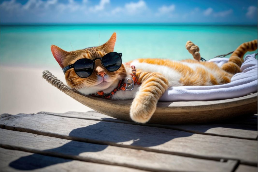 Названы популярные курорты для отдыха с животными: Сочи и Анапа в топе