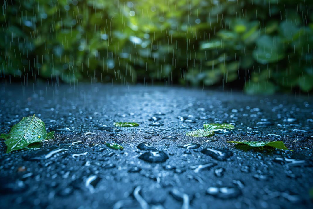 От солнца к ливню: в Сочи прогнозируют ухудшение погоды