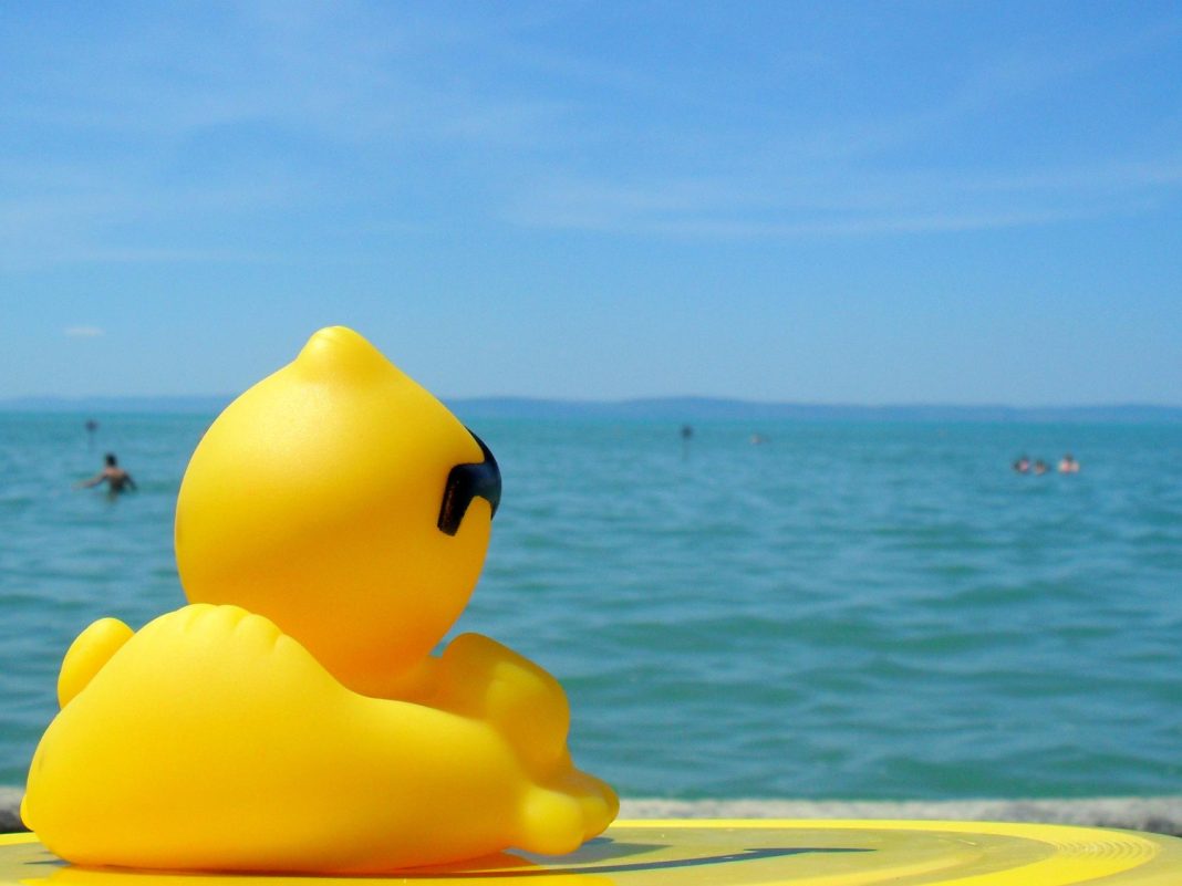 Утку-банан арестовали полицейские в Сочи: ее владелец незаконно катал отдыхающих