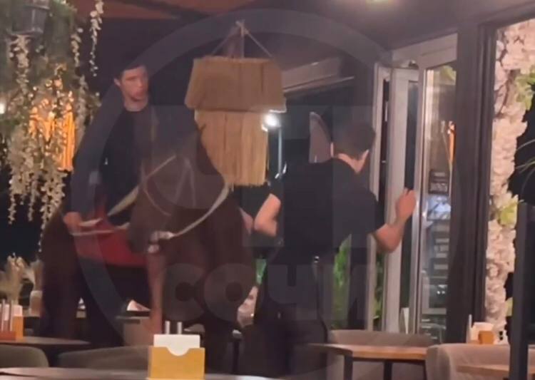 Полицейские задержали пьяного наездника в одном из баров в Сочи