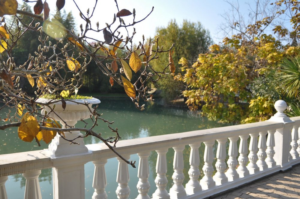 Сочи обошел Санкт-Петербург в рейтинге востребованных направлений для бронирования в октябре