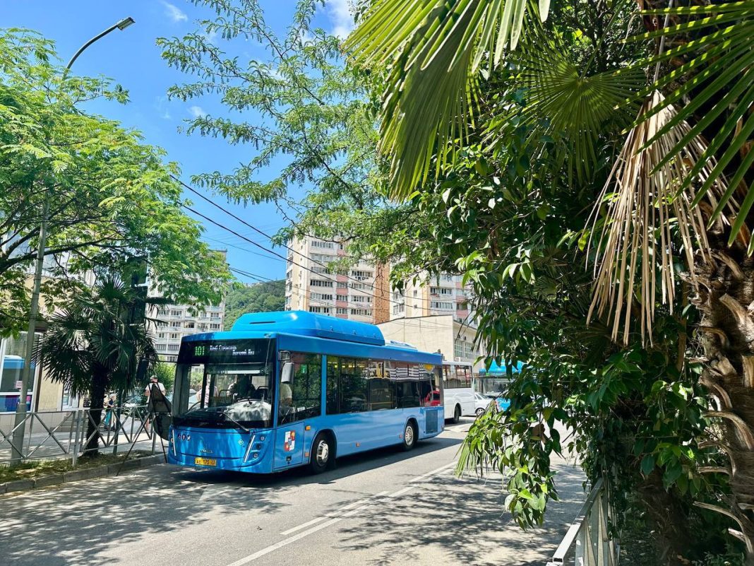 Бесплатный транспорт для сочинских школьников вводится с 1 октября: кому положен, как оформить проездной