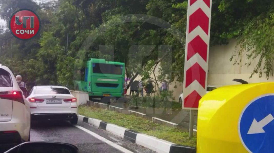 ЧП у Центрального стадиона: дерево рухнуло на автобус, перекрыв дорогу