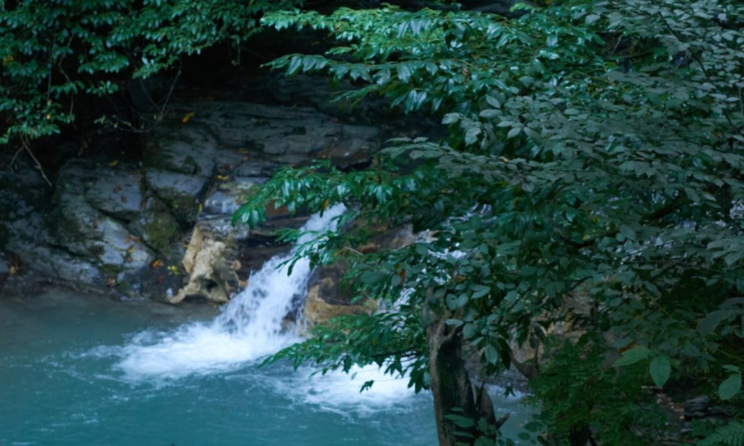 Сочинцы могут стать участниками фотопроекта «Россия в объективе»