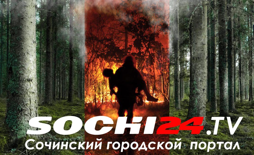 Профилактические рейды проводятся сотрудниками МЧС на территории Сочи