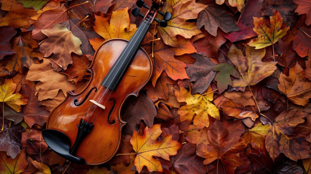 «Осенние узоры» представят на суд публики в Зале органной и камерной музыки Сочи