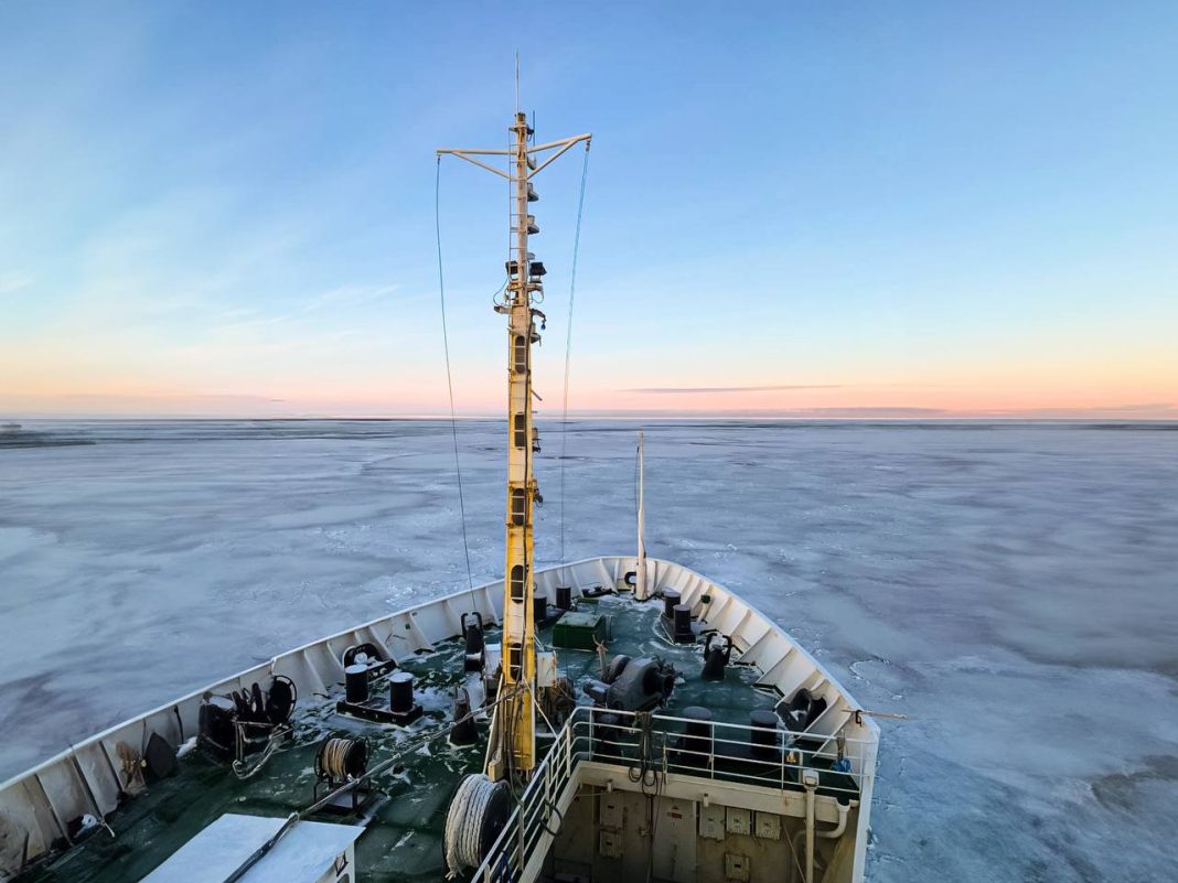 Ученые из «Сириуса» поделились удивительными снимками: сейчас они находятся в экспедиции