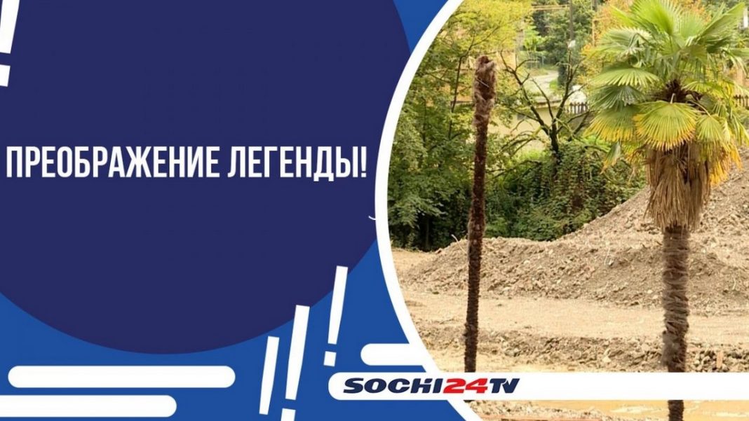 Возрождение легенды: как обновляют территорию санатория «Известия»