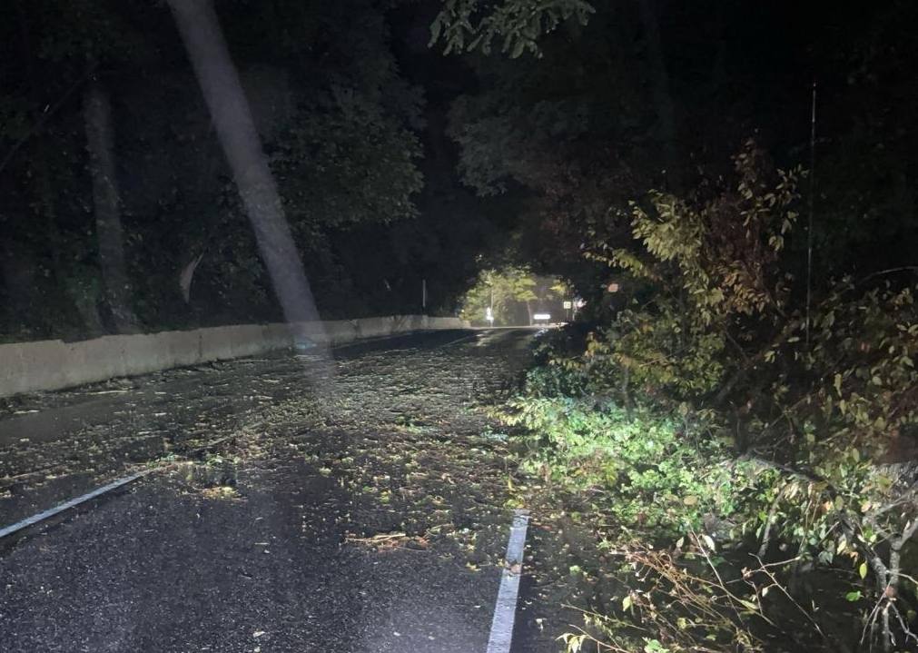 Массовое падение деревьев в Сочи и другие последствиях непогоды: что известно к этому часу