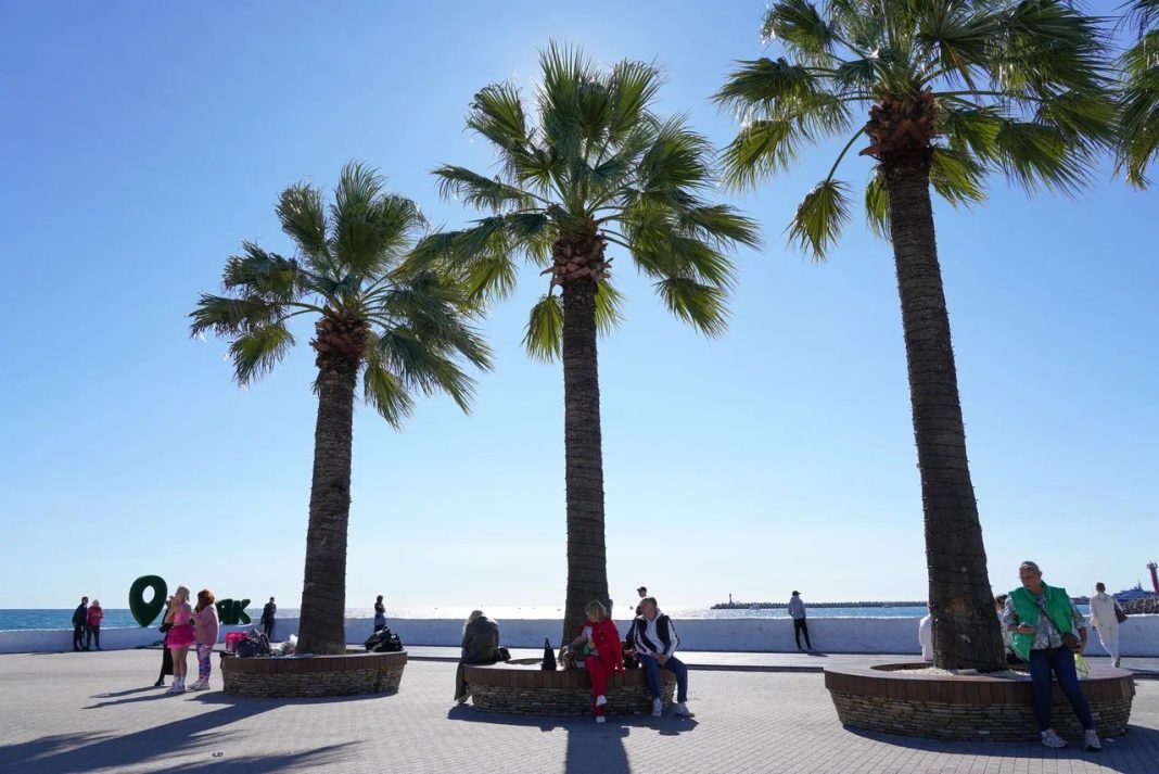 Рекорды бархатного сезона в Сочи: бронирования выросли на 35%