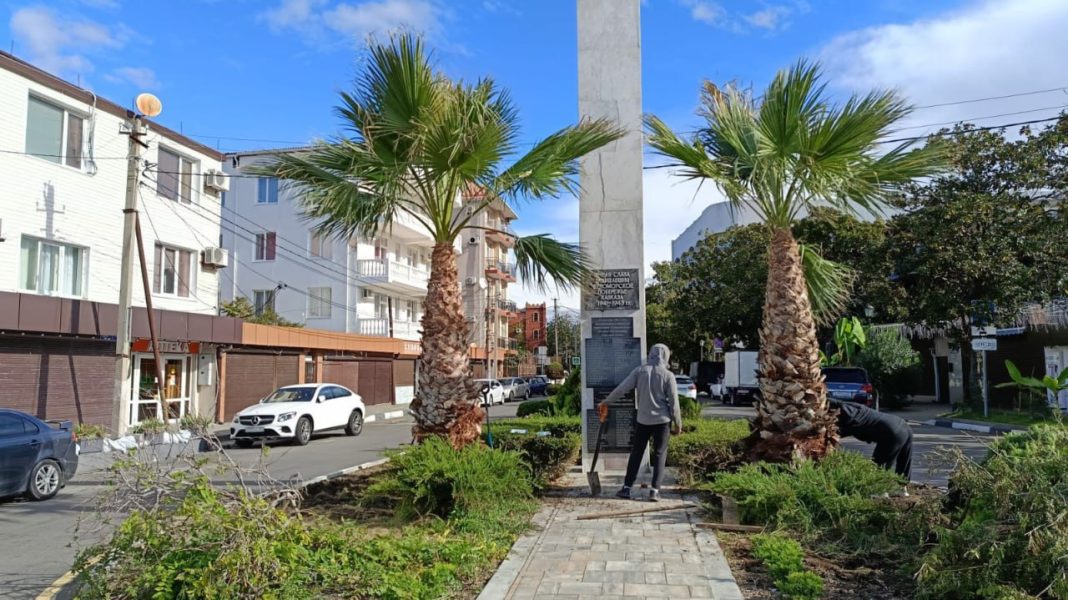 Сочи стал еще зеленее: более 40 пальм высажено в Лазаревском районе