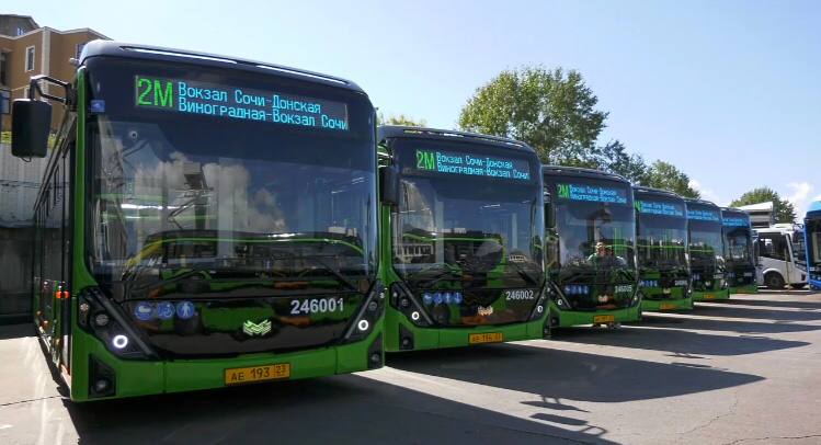 Жителям Сочи пришлись по душе новые электробусы: на улицах курорта они появились в октябре