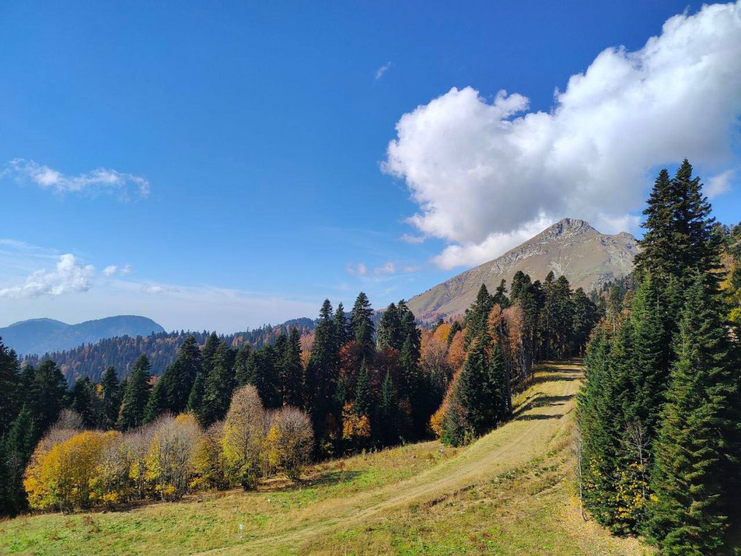 Конституционный суд утвердил гарантии при прекращении права на землю после громкого дела садоводов из Сочи