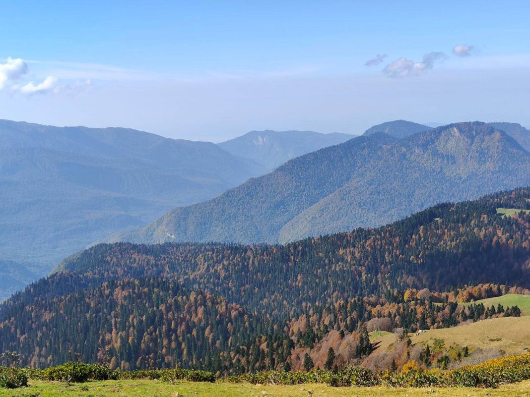 КС обязал компенсировать убытки сочинским садоводам после изъятия земель в нацпарке