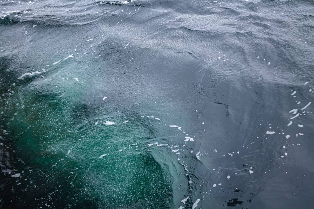 Образцы, привезенные учеными Сириуса из экспедиции, могут быть важны для решения проблемы глобального потепления