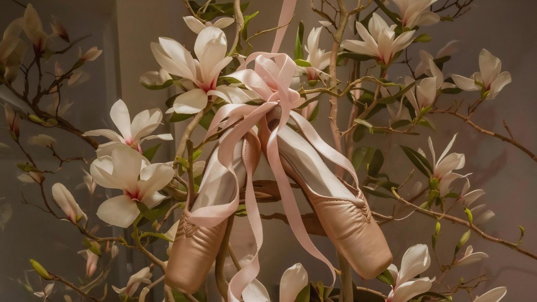 Выставка петербургской художницы «Все для фуэте» откроется в Зимнем театре Сочи