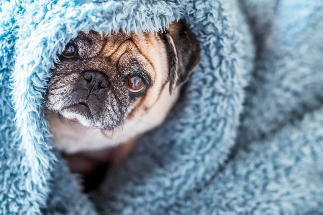 Отопительный сезон начался в Сочи: куда обращаться, если все еще в квартире холодно