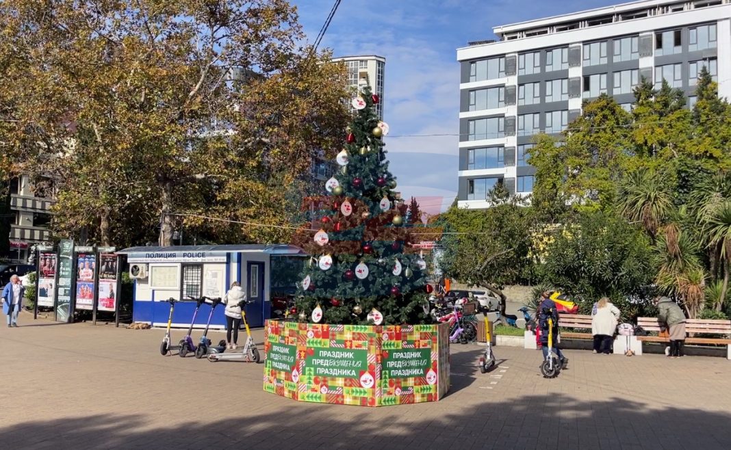 Первая новогодняя ель появилась в Сочи: зеленую красавицу сняли на видео