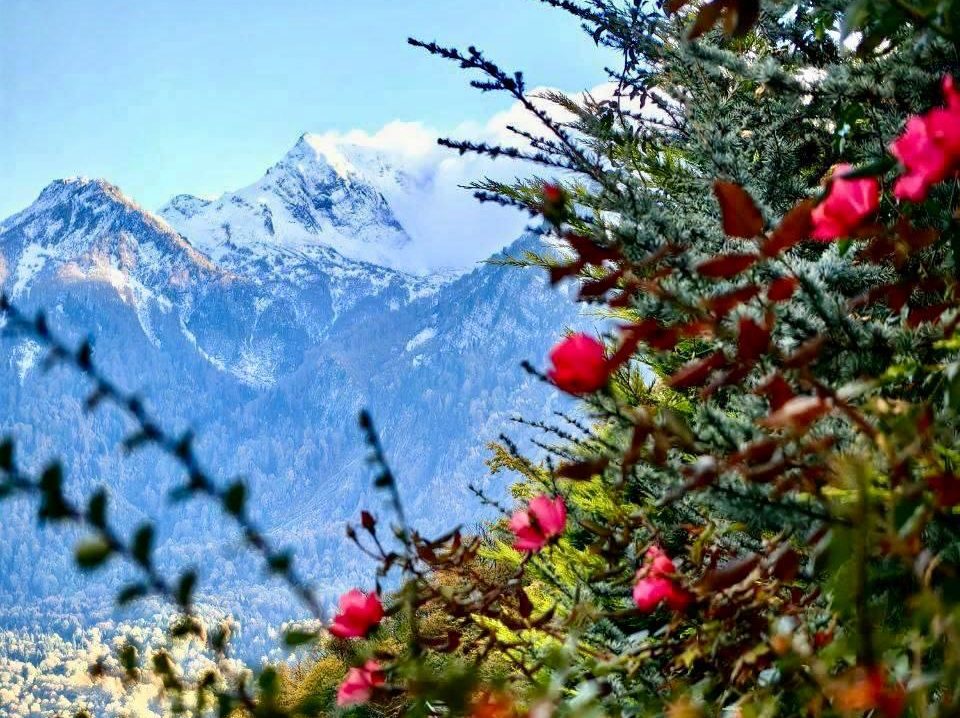 Анталья или Сочи: где дешевле провести десять дней в конце ноября