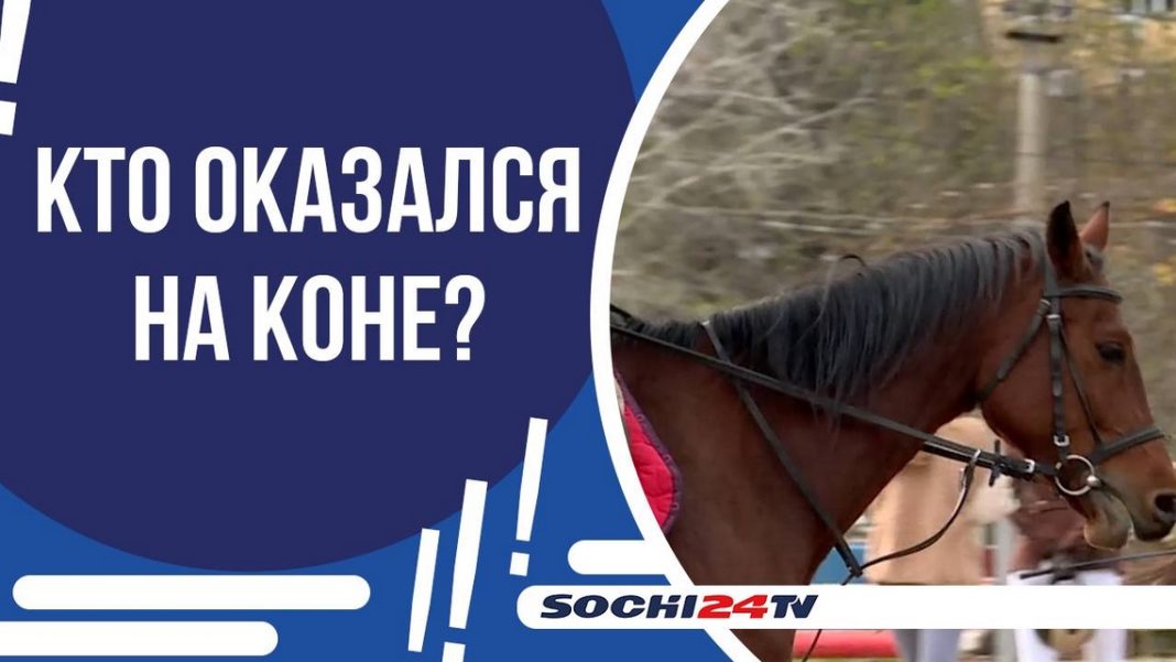 Городской турнир по конному спорту прошёл в спортивной школе №15