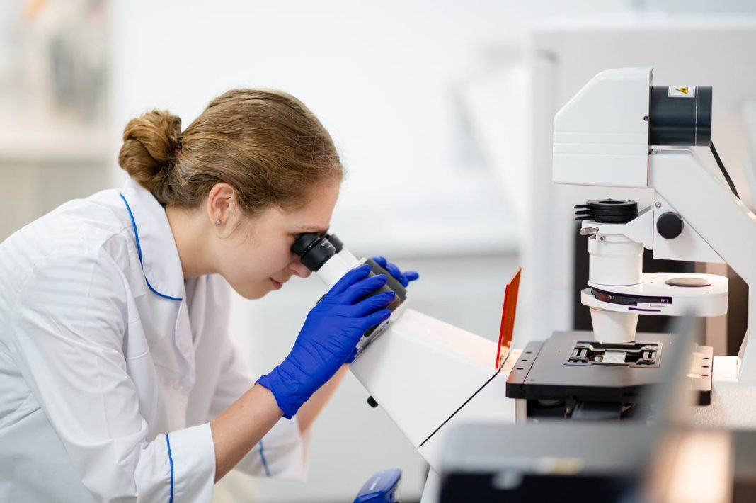 Генетики «Сириуса» раскроют тайны Боспорского царства и Фанагории с помощью древней ДНК