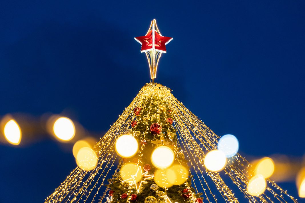 Стало известно, когда на площади Флага засияет главная елка Сочи
