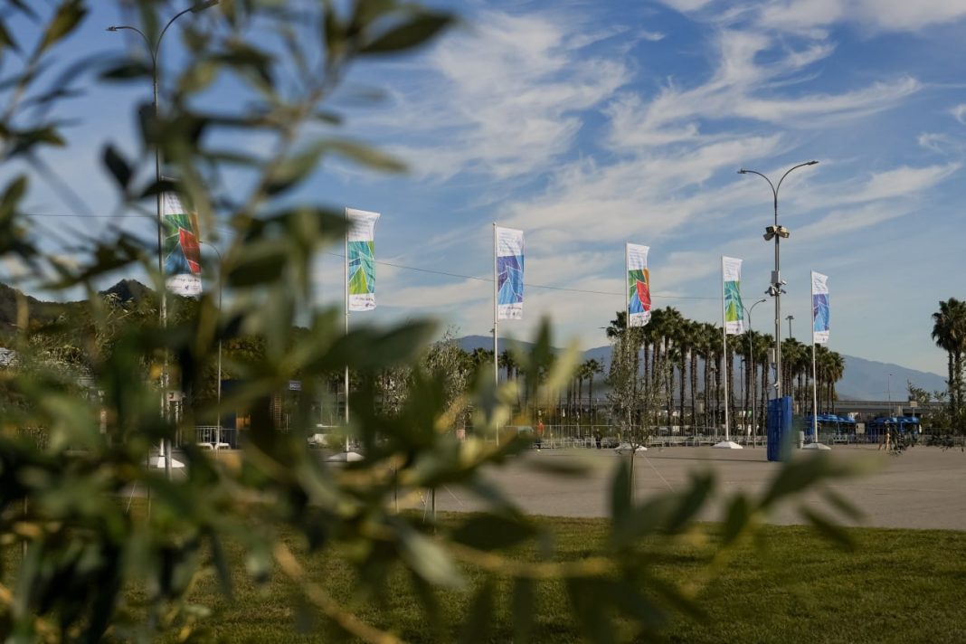 Сад российско-африканской дружбы открыли в Сириусе