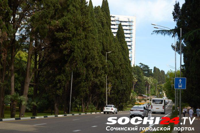 С 22 декабря от Воровского до Горького в центре Сочи изменят схему движения